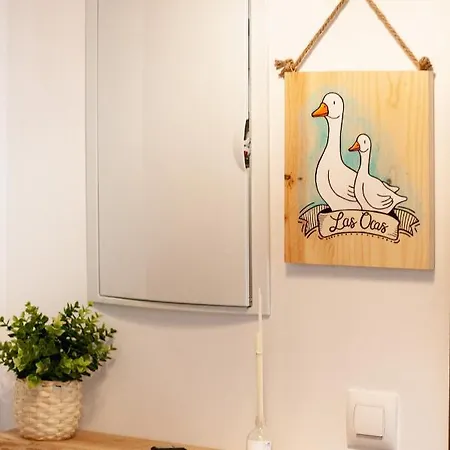 Ocas Boutique - Solo Adultos