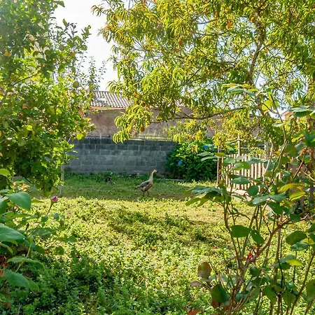 Ocas Boutique - Solo Adultos