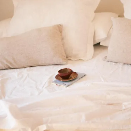 Ocas Boutique - Solo Adultos Daire *