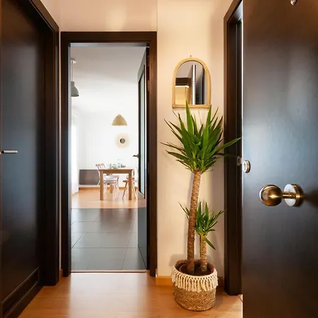 Ocas Boutique - Solo Adultos Muros de Nalón